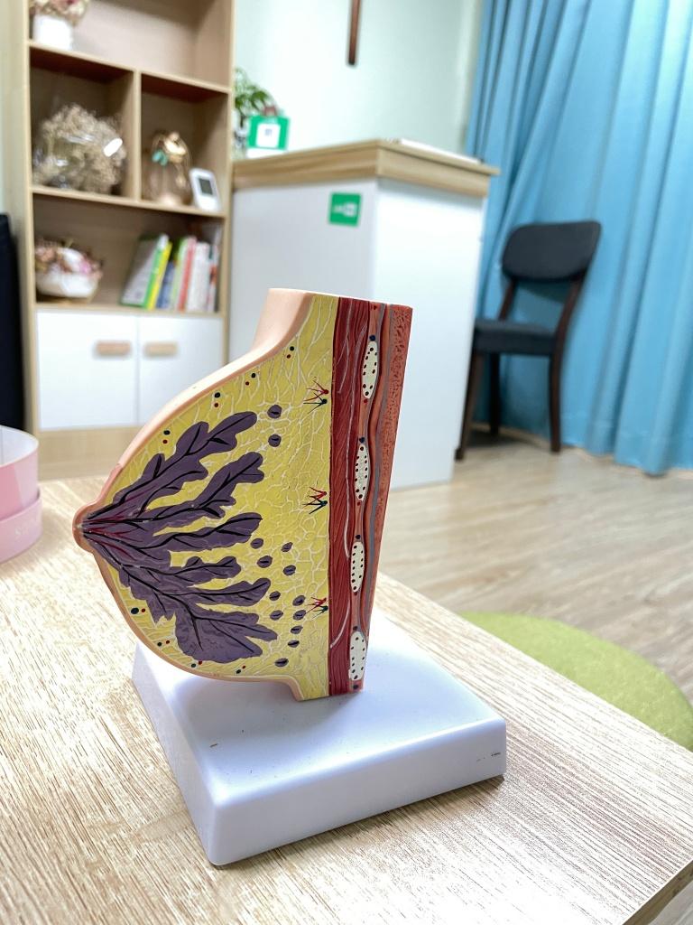 台中胸部按摩推薦 羽妃美學3