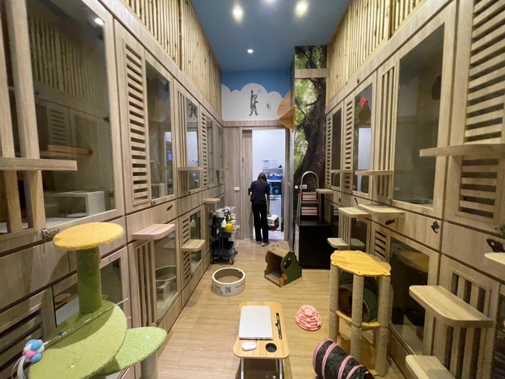 台北貓咪美容推薦 宅貓旅館