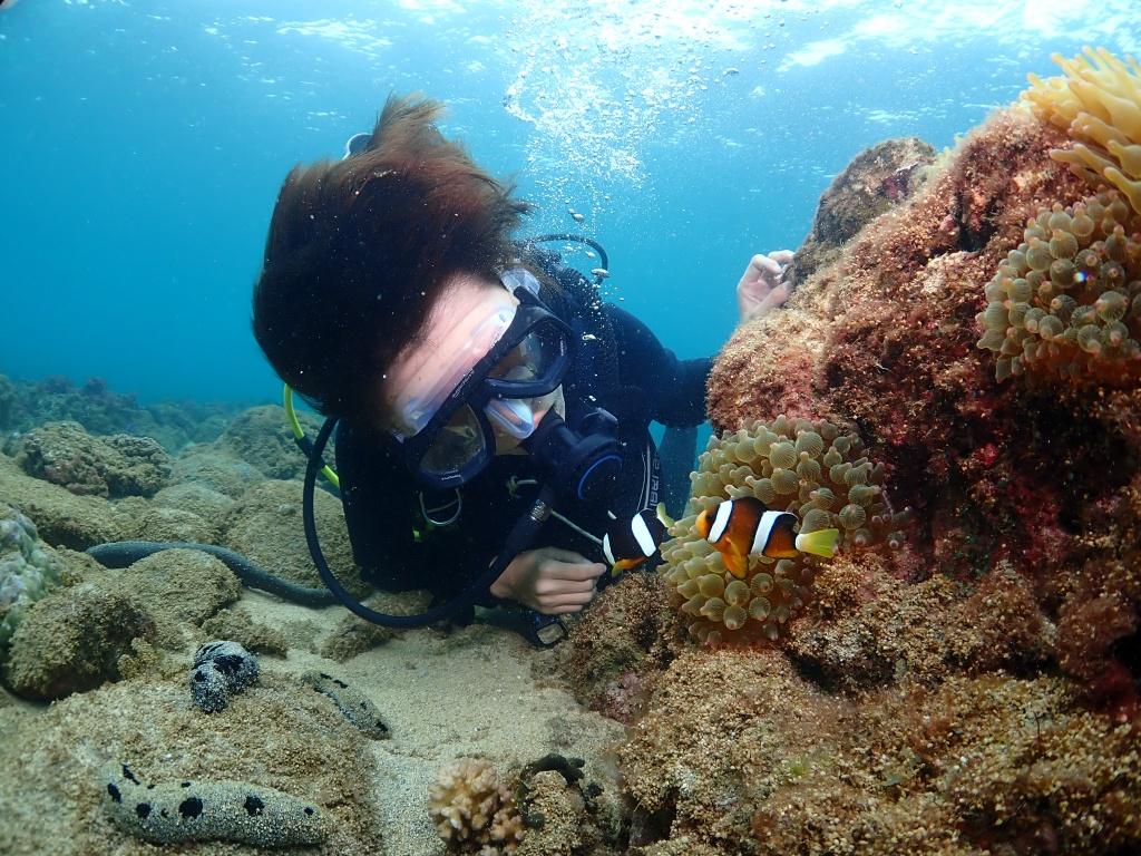 プロの水中写真で、どんなショットも美しく。