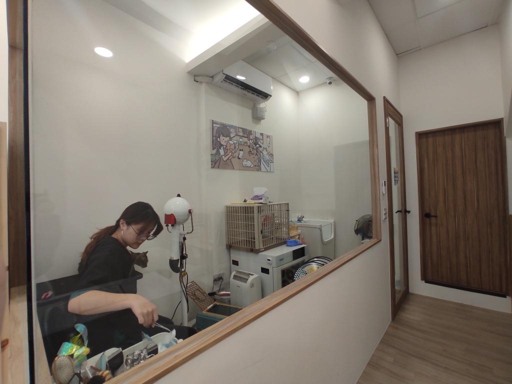 貓後苑 台北貓咪美容推薦3