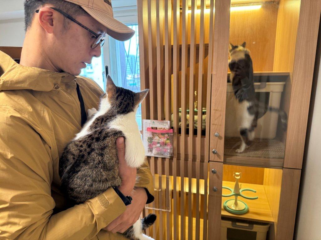 Catgrila Review|Independent Rooms and 24-Hour Companionship for Peace of Mind at This East District Cat Hotel