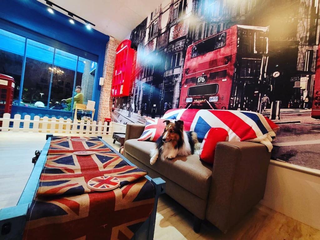 英倫王子悠閒時光寵物旅館