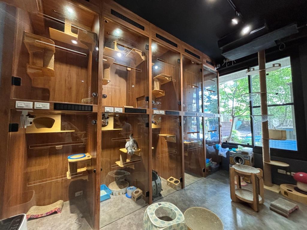台中寵物住宿推薦-Wen 溫斯頓寵物生活館-05