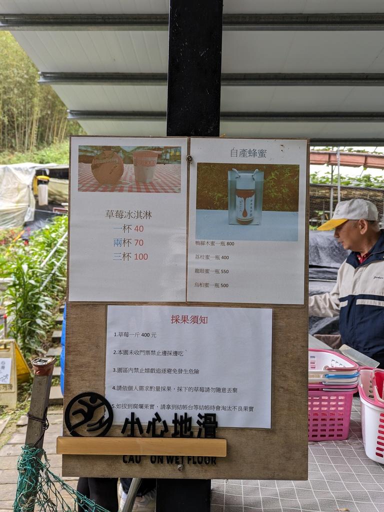 台北採草莓 安泰草莓園 03