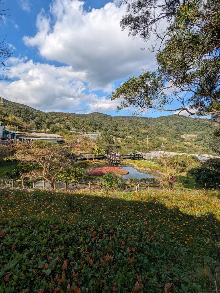 台北採草莓 野草花果有機農場 02