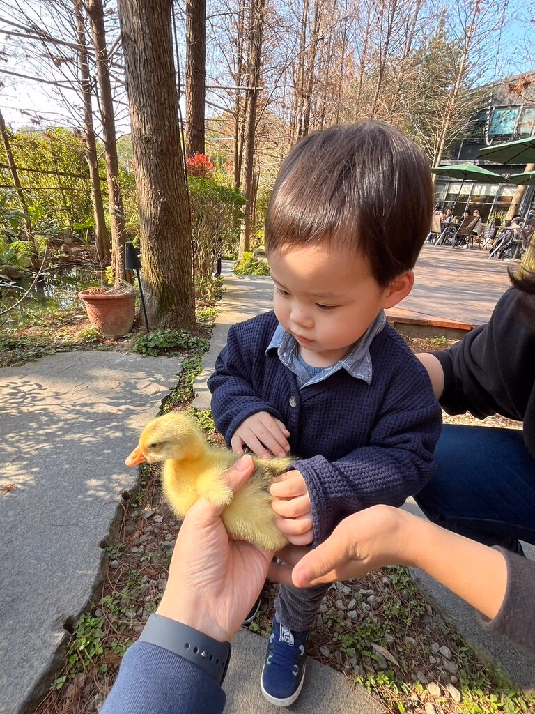 台中親子農場 享自在生態園區 05