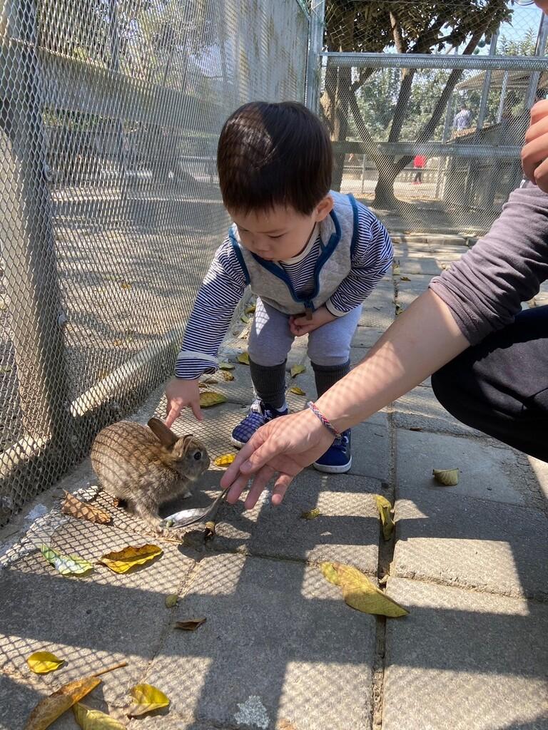 台中親子農場 京葉馬場兔樂園 01