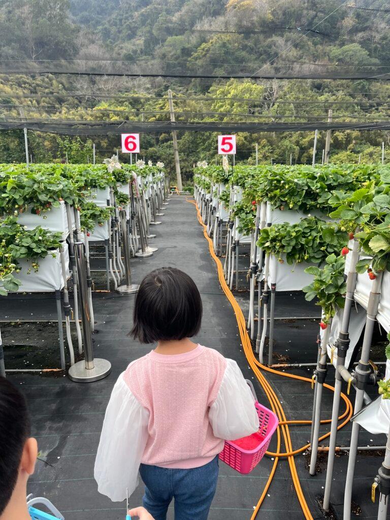 ่ๆ ๆก่่ ๅ
ญๅ้ซๆถ็ๅฅถ่่่พฒๅ ด 02