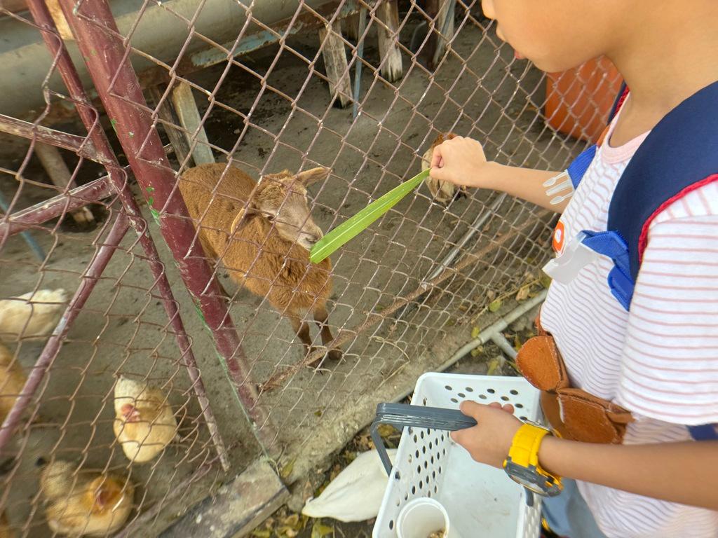 高雄親子農場 農春鎮生態教育農場 03