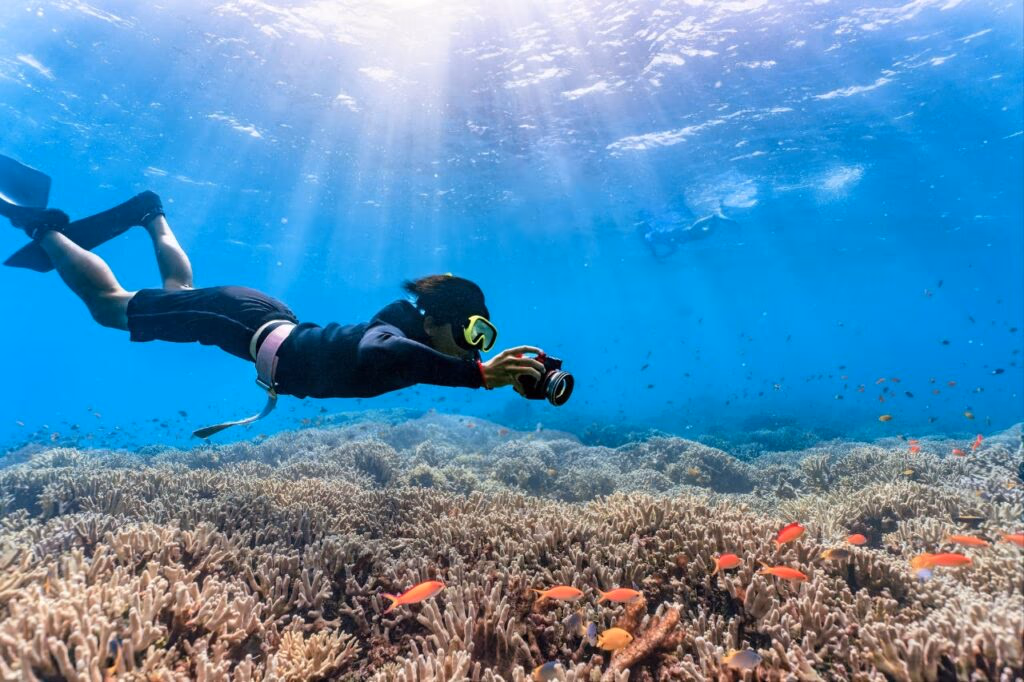 澎湖潛點推薦懶人包|8 大澎湖潛水點,水肺、自潛、浮潛,三種玩法一次滿足