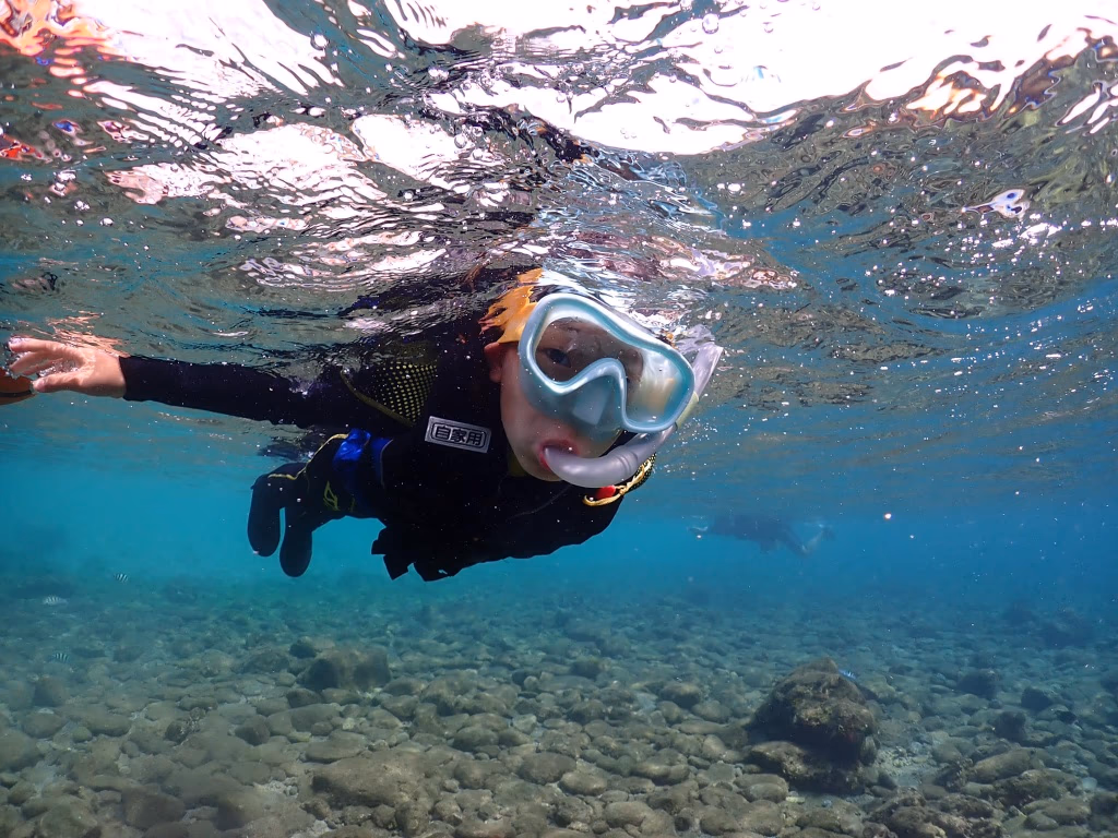 Snorkeling|Float effortlessly on the surface and spot corals and sea turtles