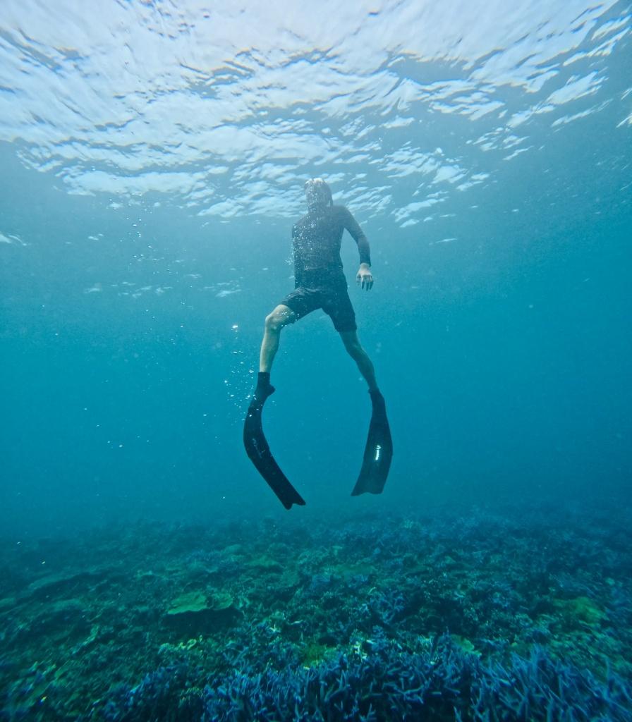 Rare Freediving in Penghu