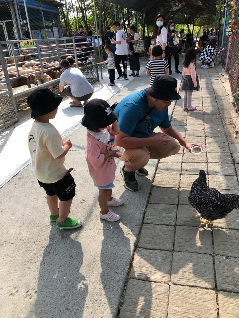 台南親子農場 樹谷農場 01