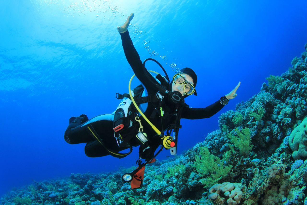 Diving Day Trip + Fireworks Boat Tour