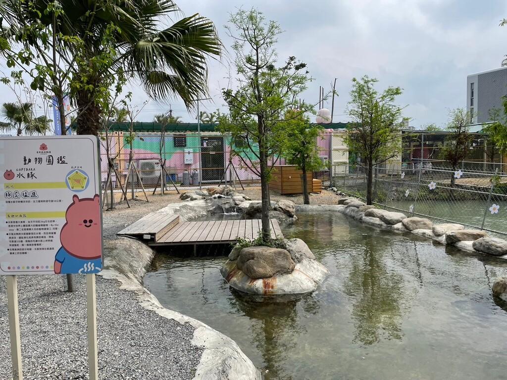 宜蘭水豚農場 星夢森林劇場 01