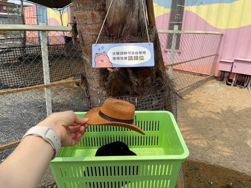宜蘭水豚農場 星夢森林劇場 03