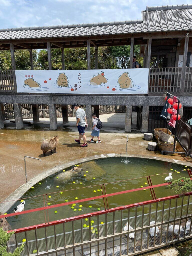 宜蘭水豚農場 綠舞日式園區 05