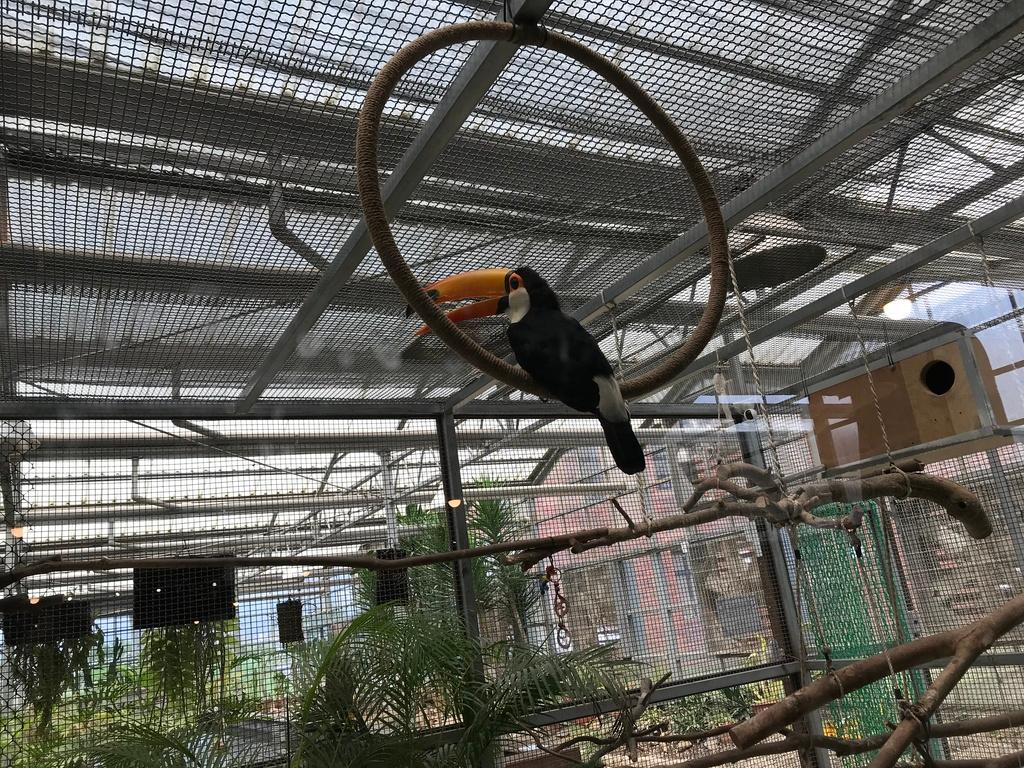 宜蘭水豚農場 金車礁溪蘭花園 07