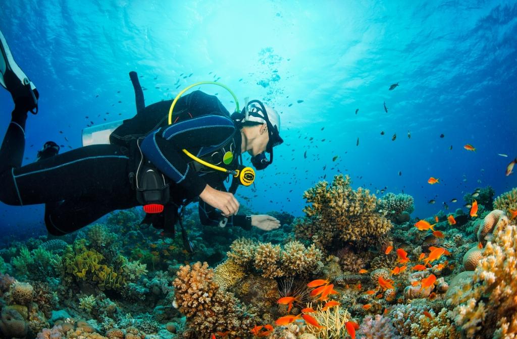 You'll need a refresher course if it's been a while since your last dive.