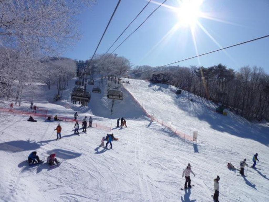 長野縣|輕井澤王子大飯店滑雪場