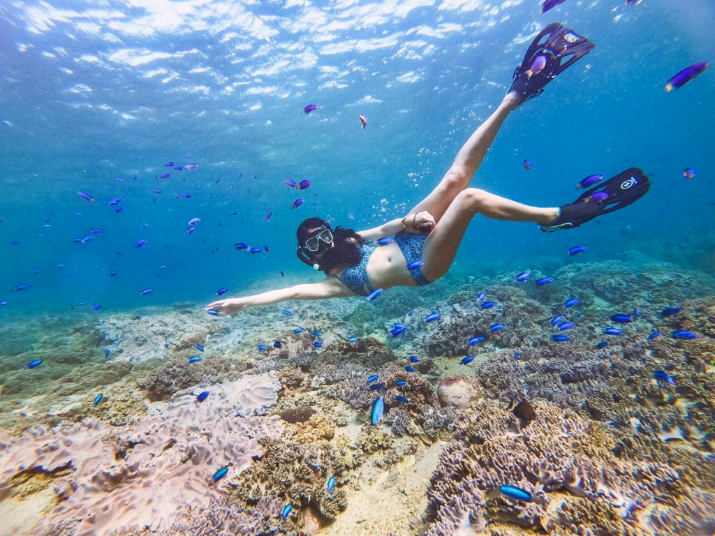 Freediving|Embrace the Ocean's Serenity on a Single Breath