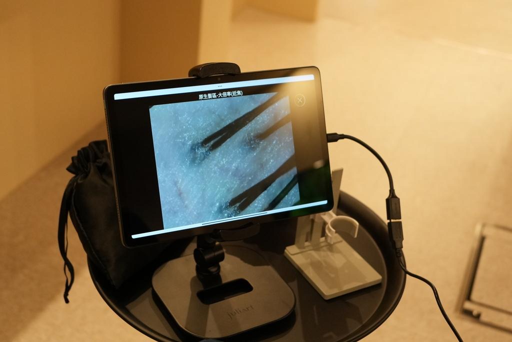 Scalp purification and precise AI diagnostics