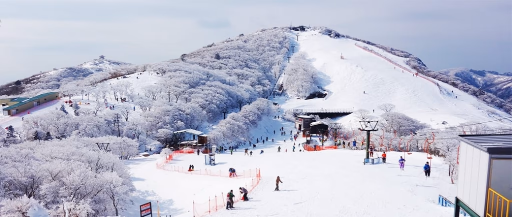 Mie Prefecture|Gozaisho Ski Resort
