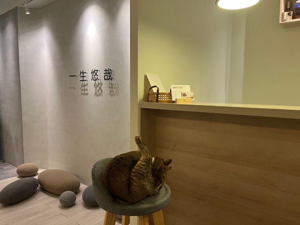 板橋按摩 悠哉推拿 03