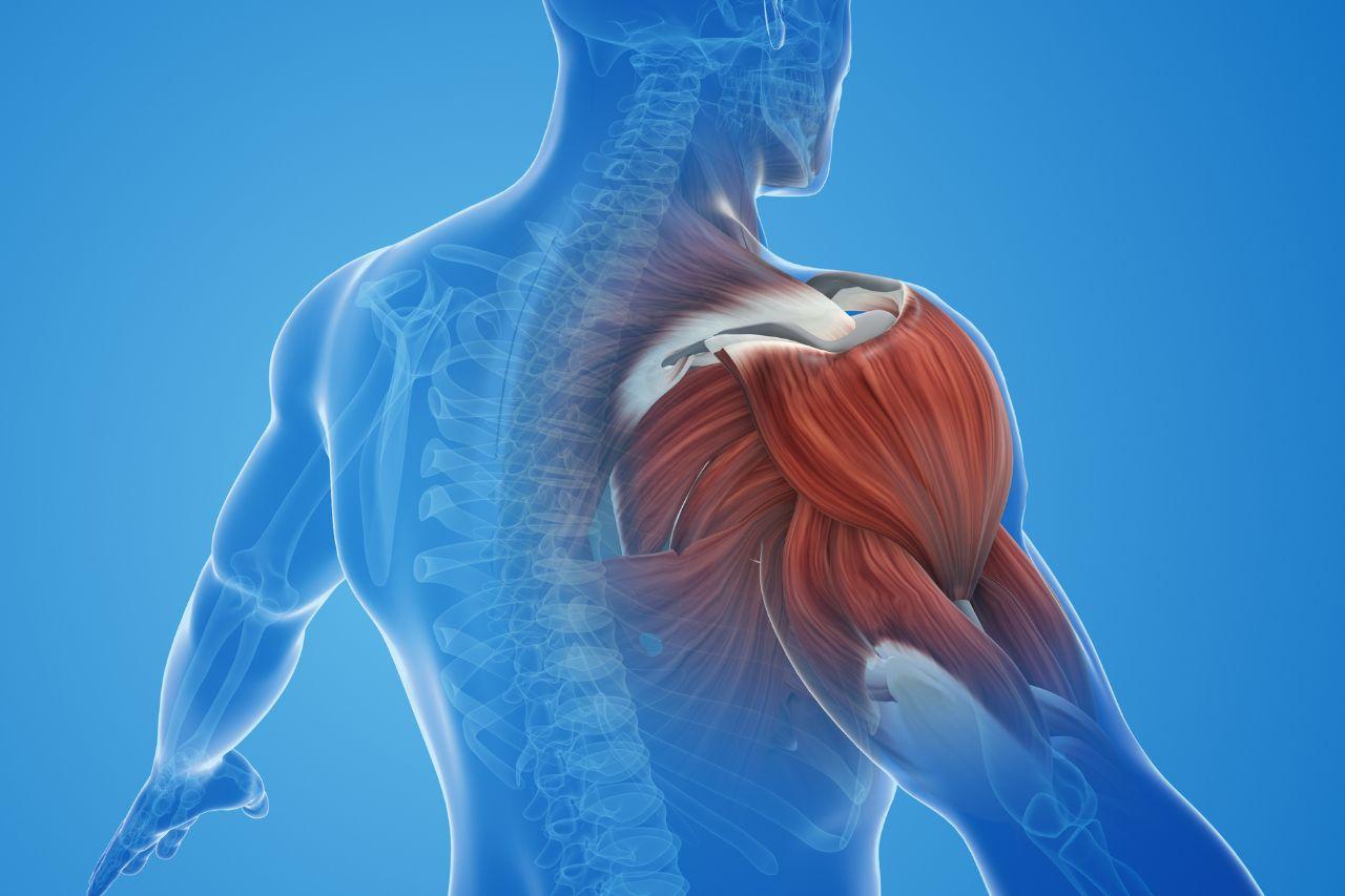 After a sports injury, you should rest until the pain subsides and your range of motion returns to normal before resuming exercise.