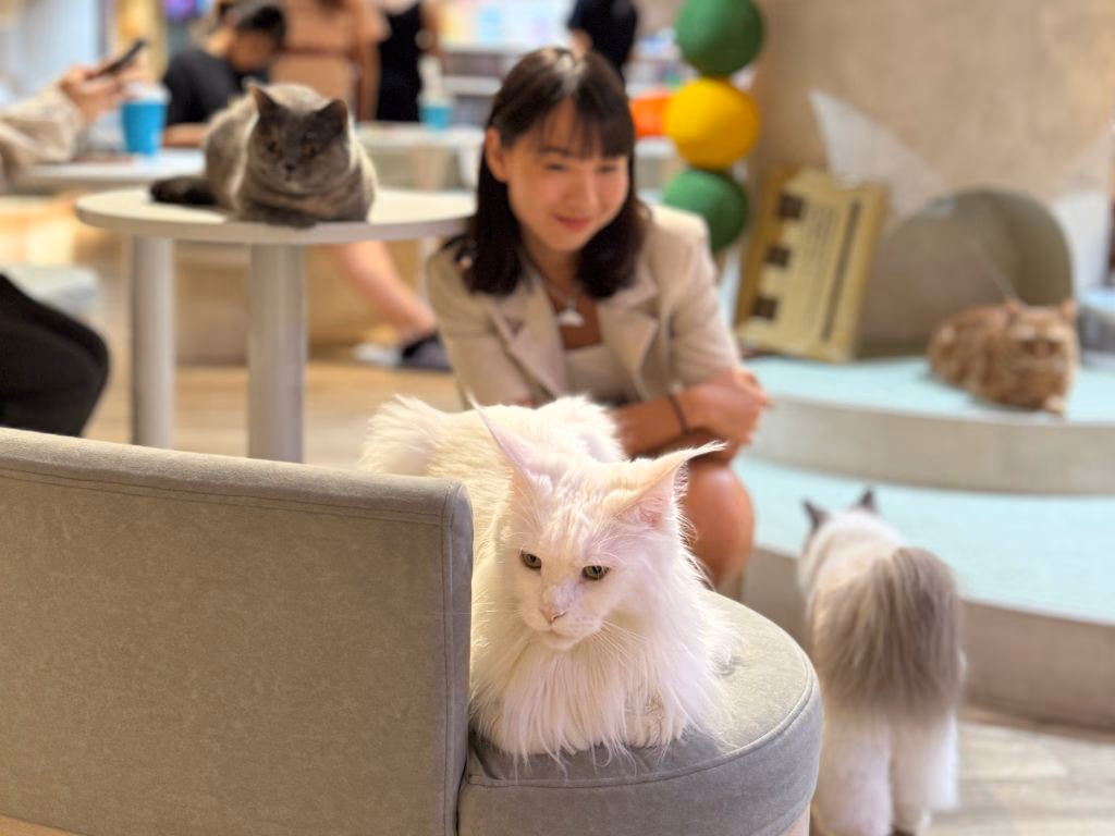 å°åè²åªåå¡å»³ Neko coffee è²ç 09