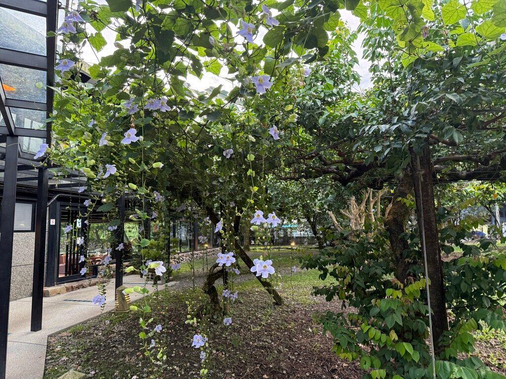 宜蘭無菜單料理餐廳_石川手作料理_2025-08-20_7