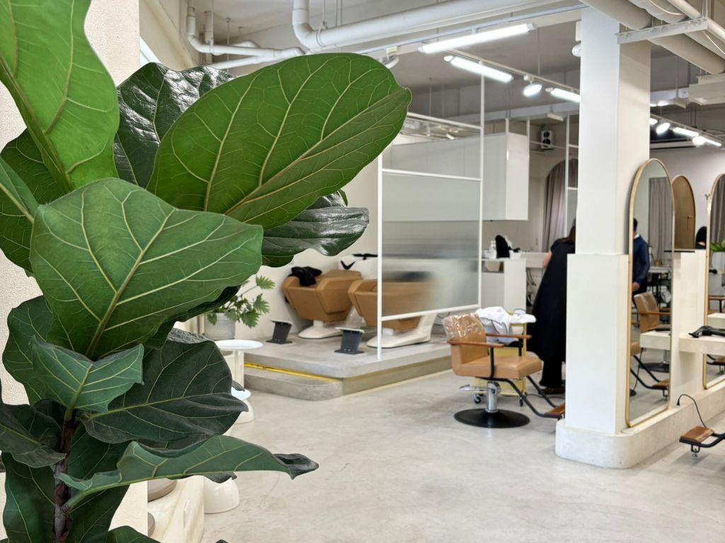 新竹髮廊 囿楽 YOLO Hair Salon 03