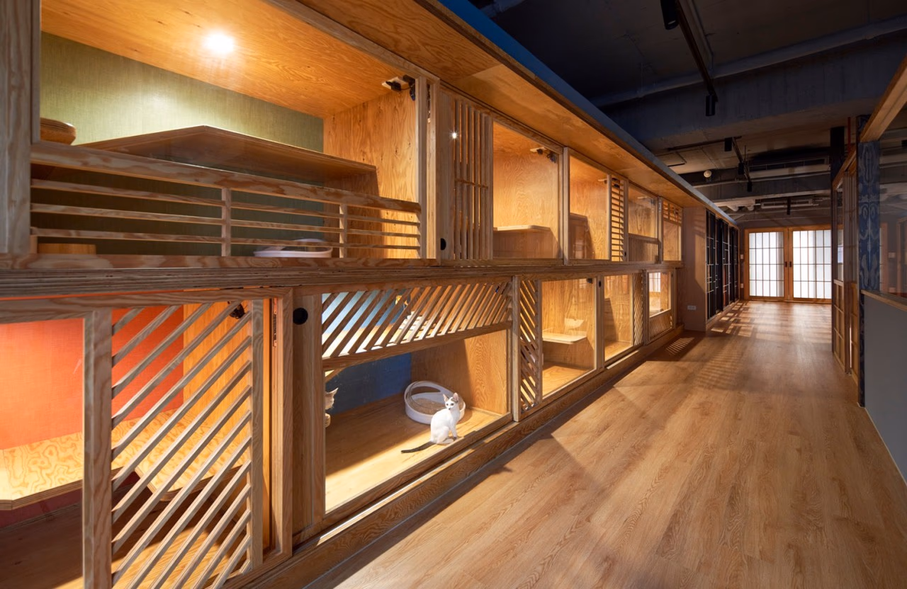 Jijumiao Japanese Cat Inn Services