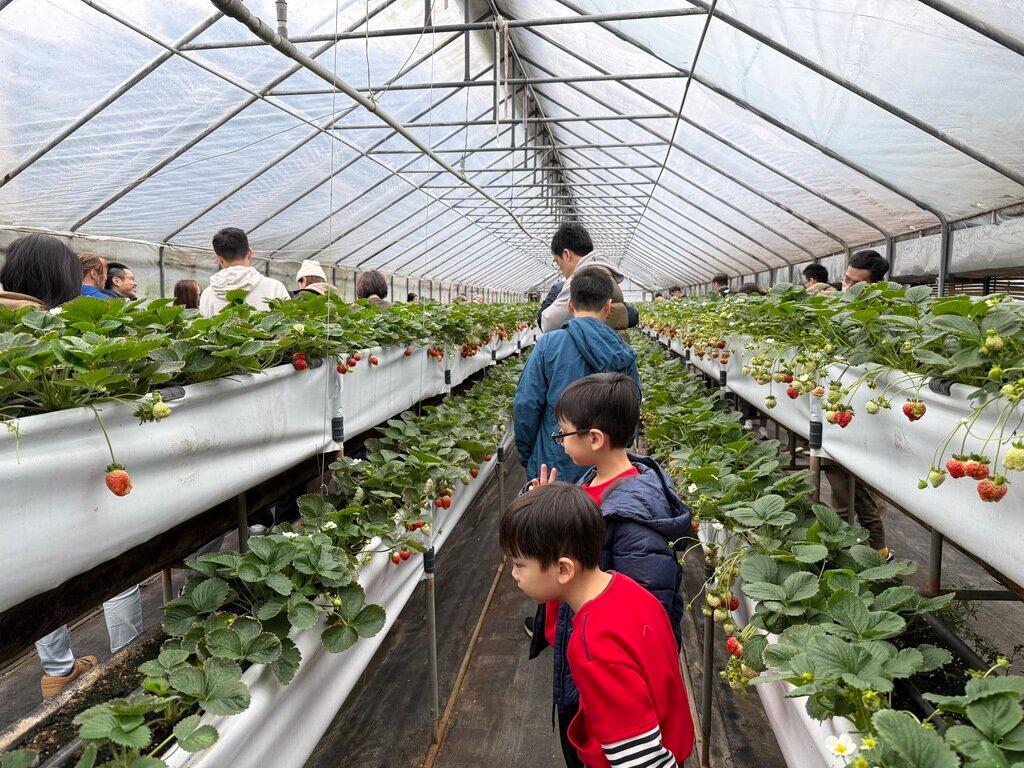 莓圃休閒農園