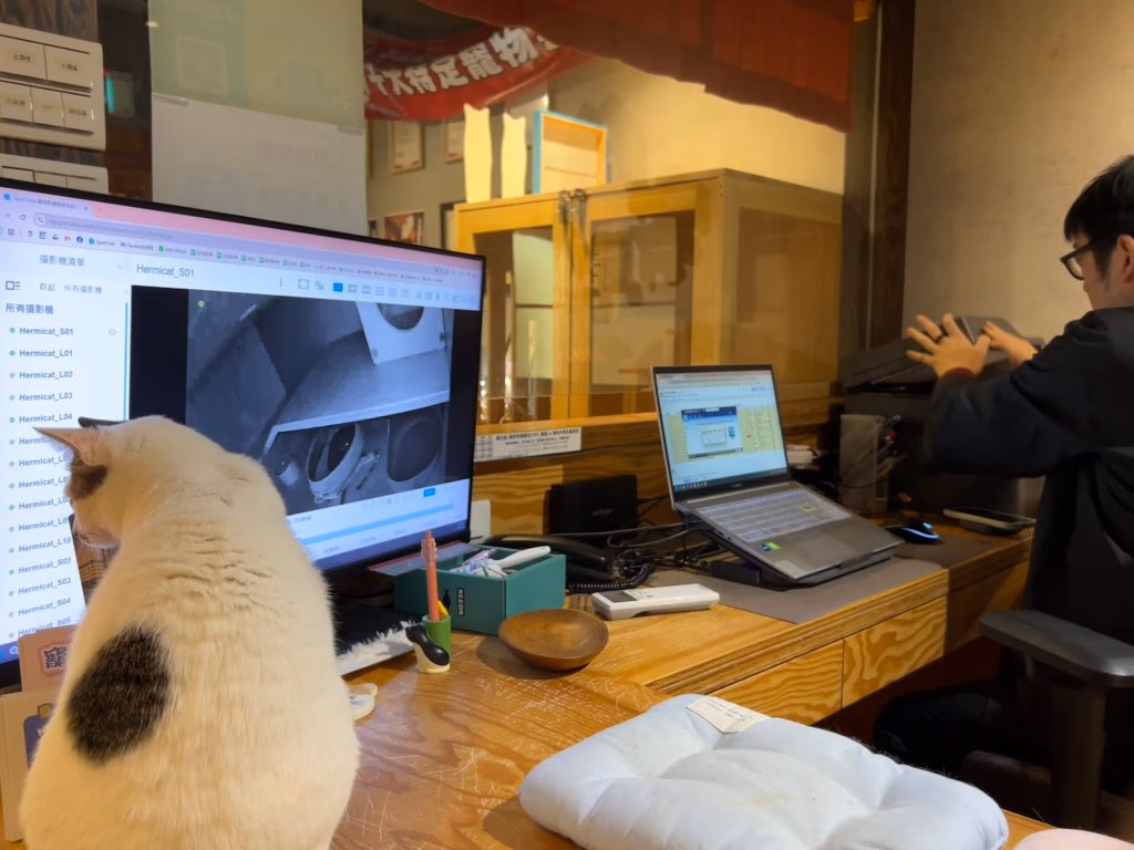 From the moment you book, you'll feel their commitment to cat health.