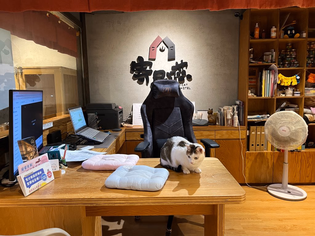 Thoughtful check-in reminders help your cat adjust to the new environment more smoothly.