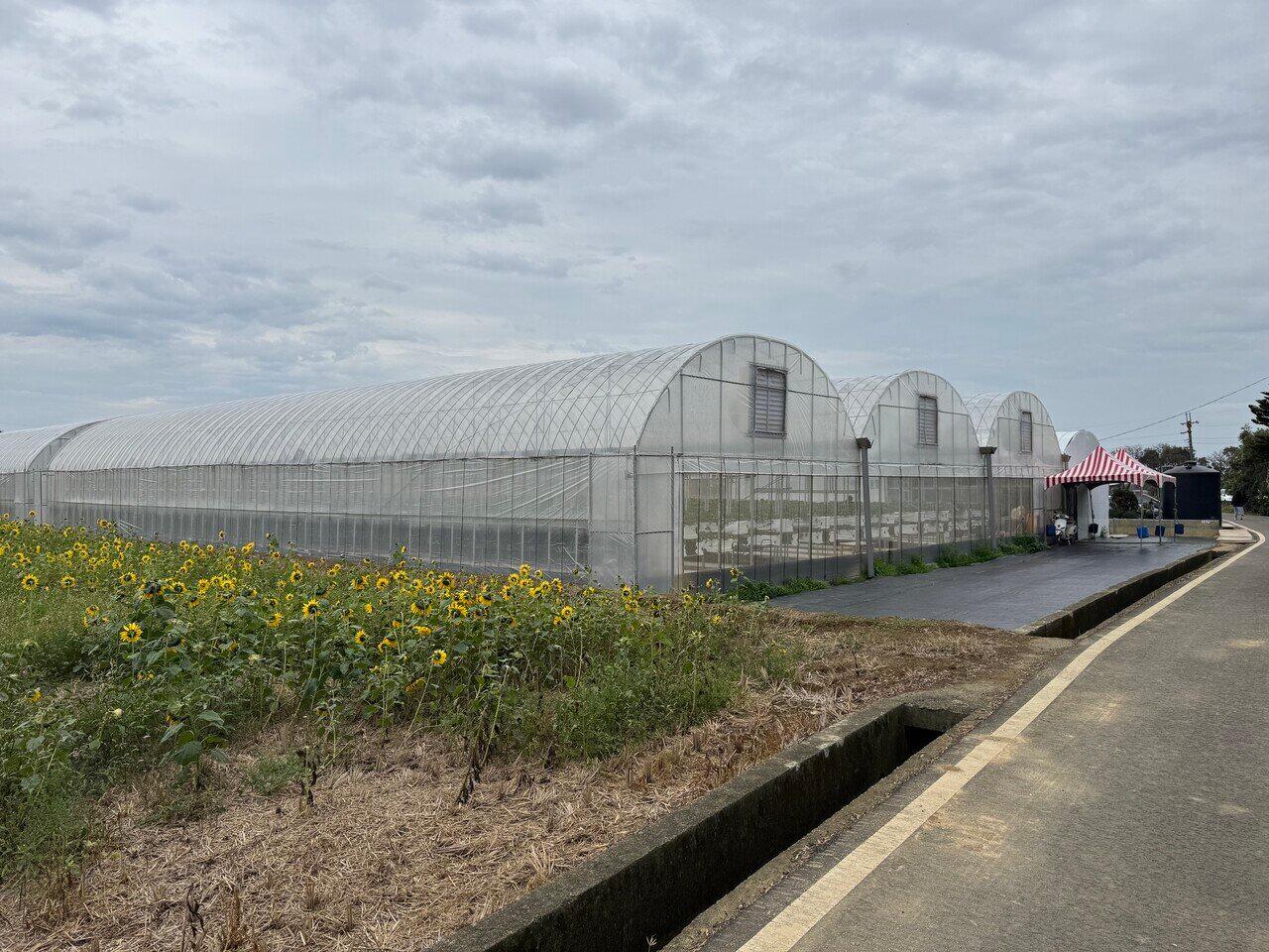 해안 지역에서 보기 드문 딸기 농장으로, 탁 트인 들판 풍경이 편안함을 선사합니다.