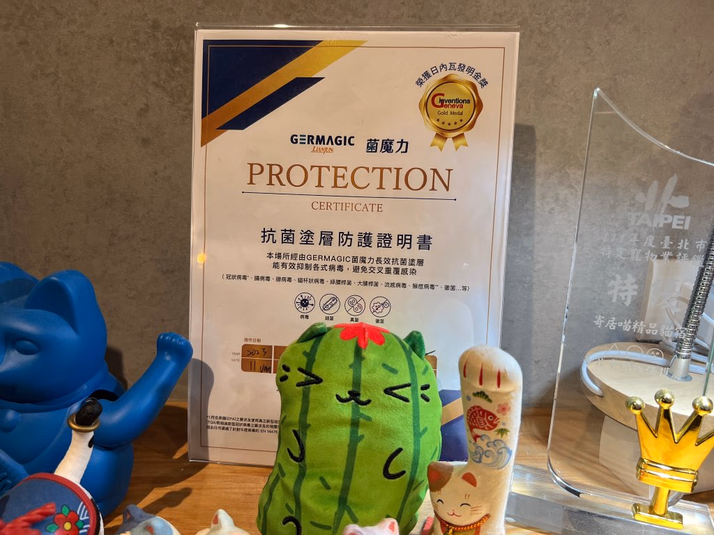 Safe, healthy, and designed just for cats