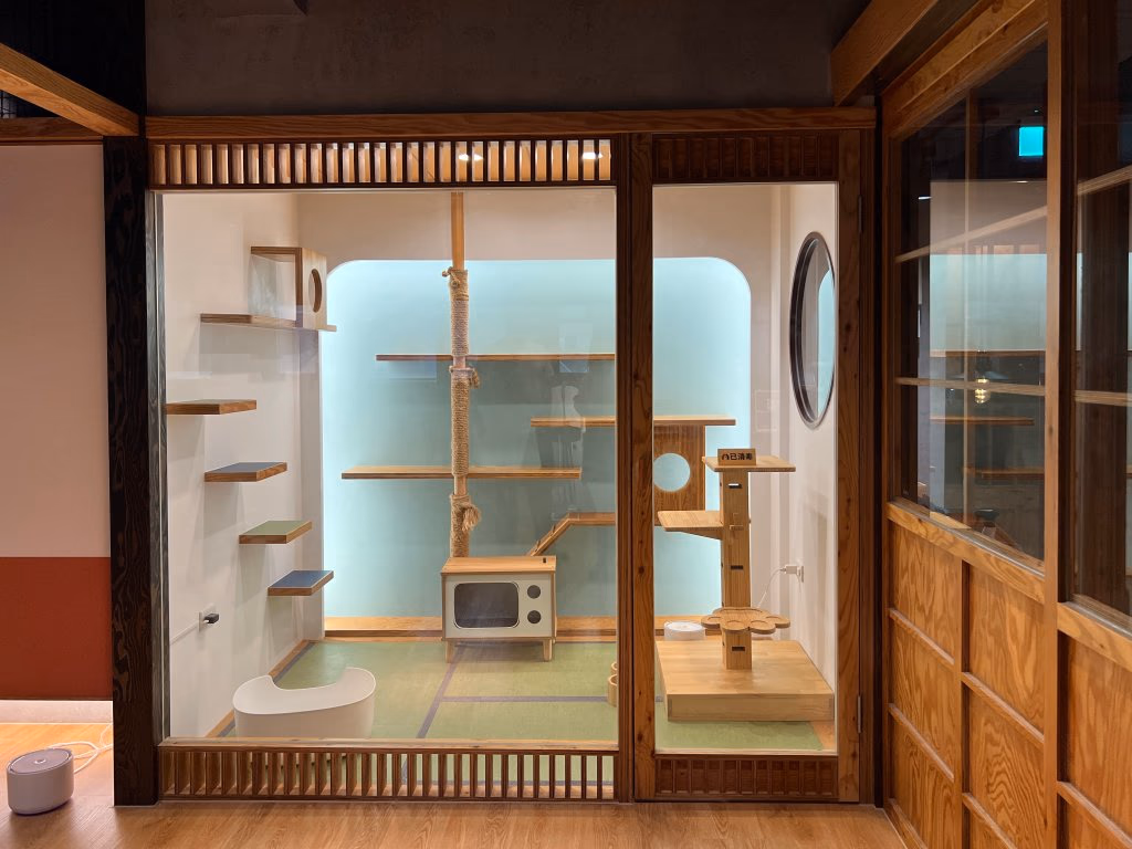Chiancao: Accommodates 1 to 6 cats, perfect for large families or cats who get lonely
