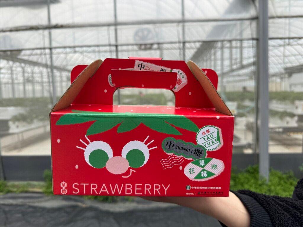來哥快樂農場評價|桃園海線竟然有草莓園?還能做草莓大福 DIY、摘向日葵