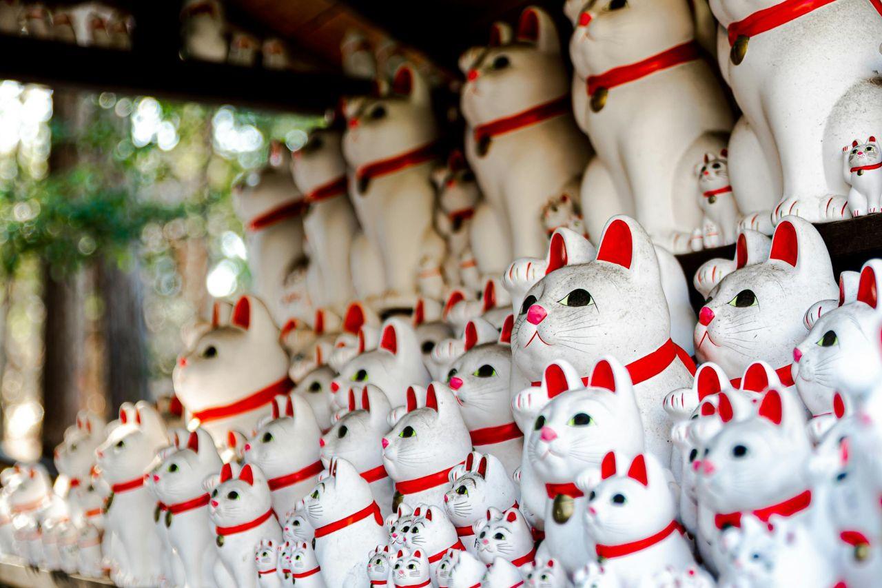 東京招財貓神社推薦|最可愛寺廟在這!3 間東京貓咪神社評比