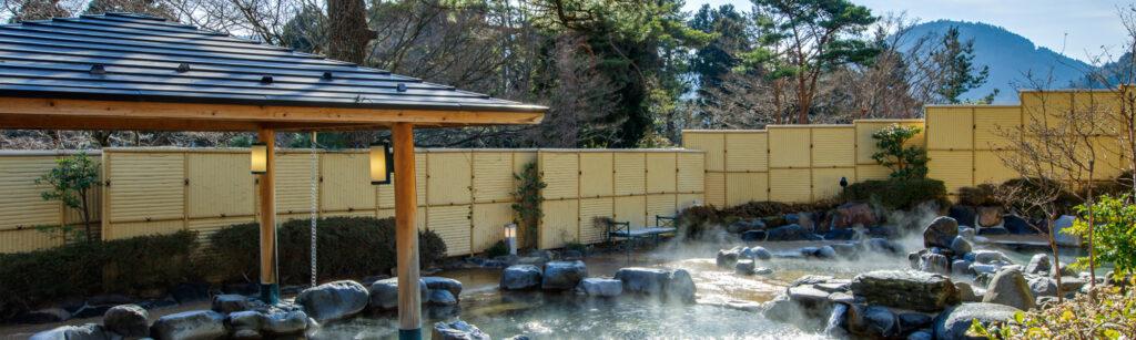 東京情侶溫泉_箱根小涌園 天悠2