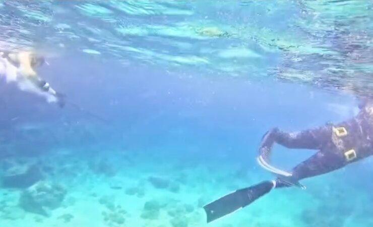 澎湖自由潛水_野人日記_2026-05-24_2