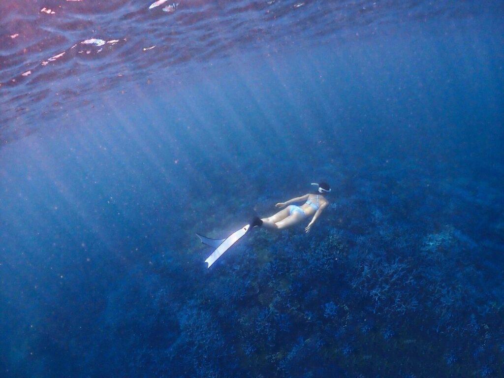 澎湖自由潛水_浪嶼．潛行_2026-06-30_2