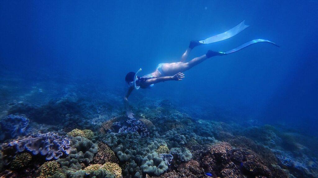 澎湖自由潛水_浪嶼．潛行_2026-06-30_3