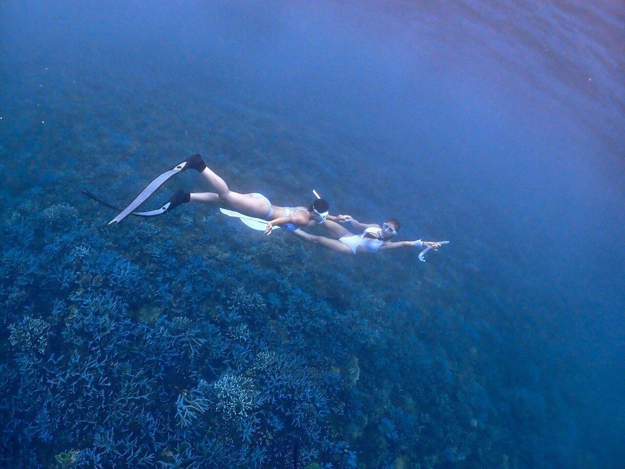 浪嶼．潛行