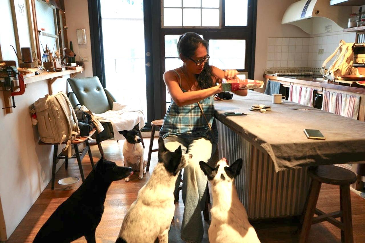 This venue is designed for pets to be themselves, from the space itself to the way people interact with them.