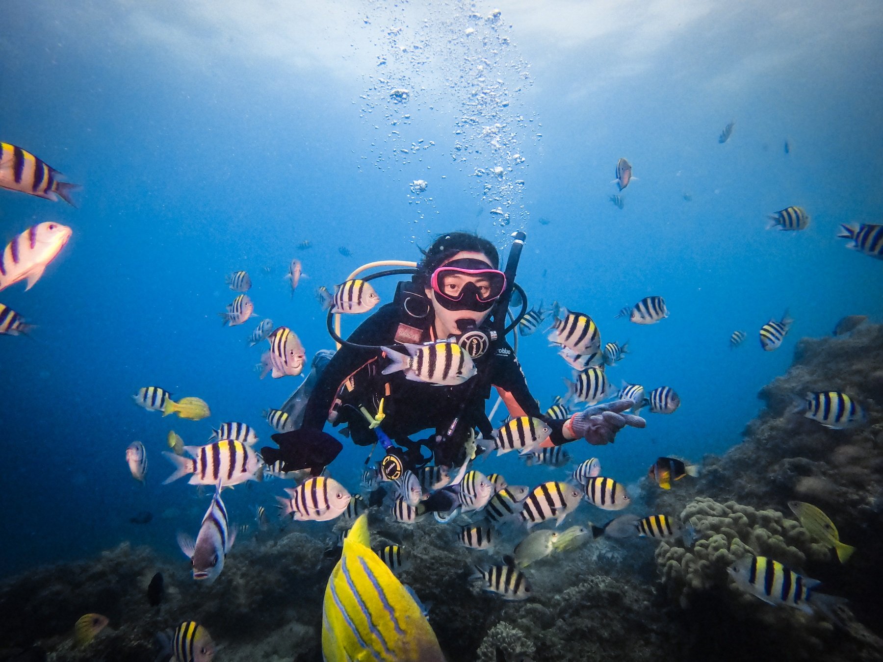 Kenting diving recommends water to fish line snorkeling hall 1