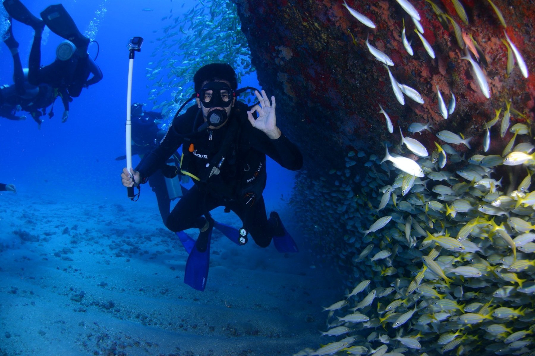 [Kenting Diving Recommendation] Experience the charm of deep diving, review of 4 Kenting scuba diving shops