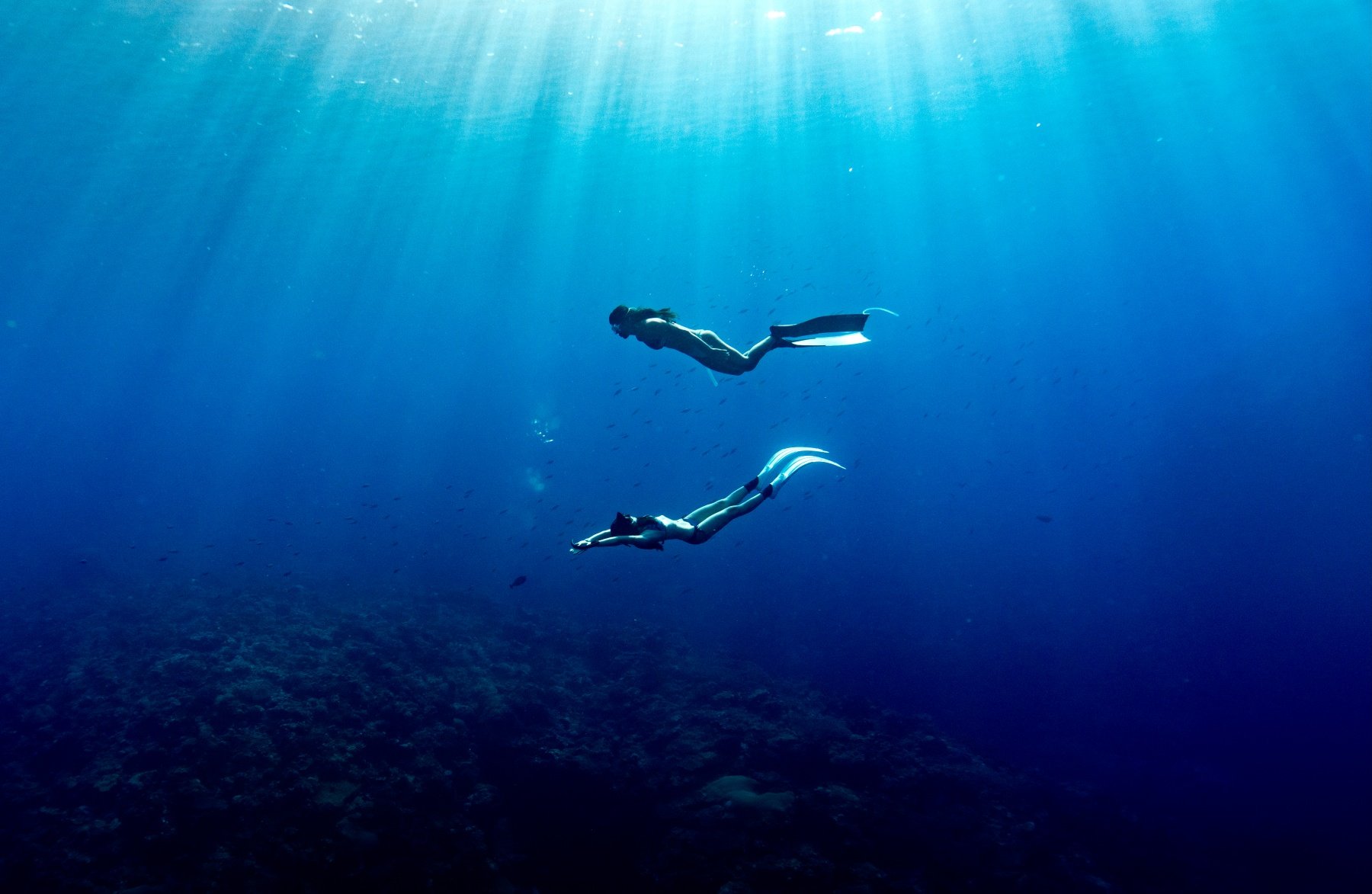 【Heyhey Dive 評價】超 Chill 台中自潛工作室，團練、潛旅讓自由潛水成為日常 32